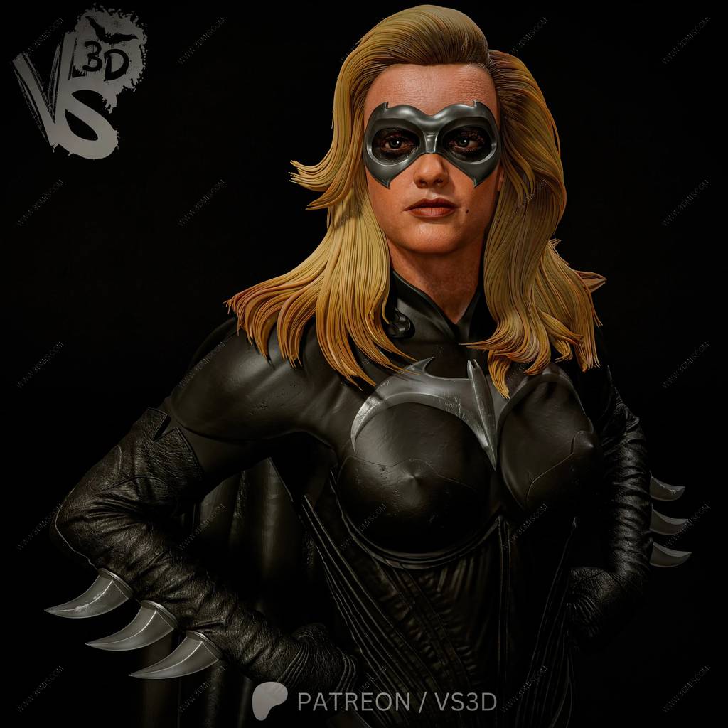 P站图纸印象馆 VS3D DC漫画 蝙蝠侠与罗宾 蝙蝠少女 VS3D DC漫画 蝙蝠侠与罗宾 蝙蝠少女