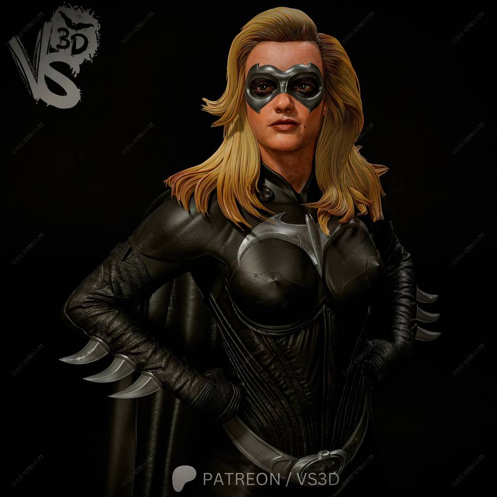 P站图纸印象馆 VS3D DC漫画 蝙蝠侠与罗宾 蝙蝠少女 VS3D DC漫画 蝙蝠侠与罗宾 蝙蝠少女