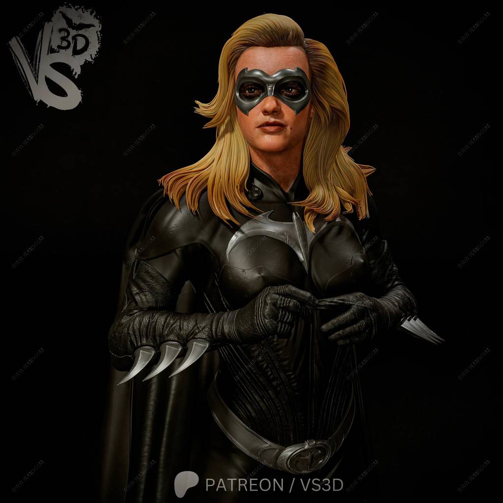 P站图纸印象馆 VS3D DC漫画 蝙蝠侠与罗宾 蝙蝠少女 VS3D DC漫画 蝙蝠侠与罗宾 蝙蝠少女