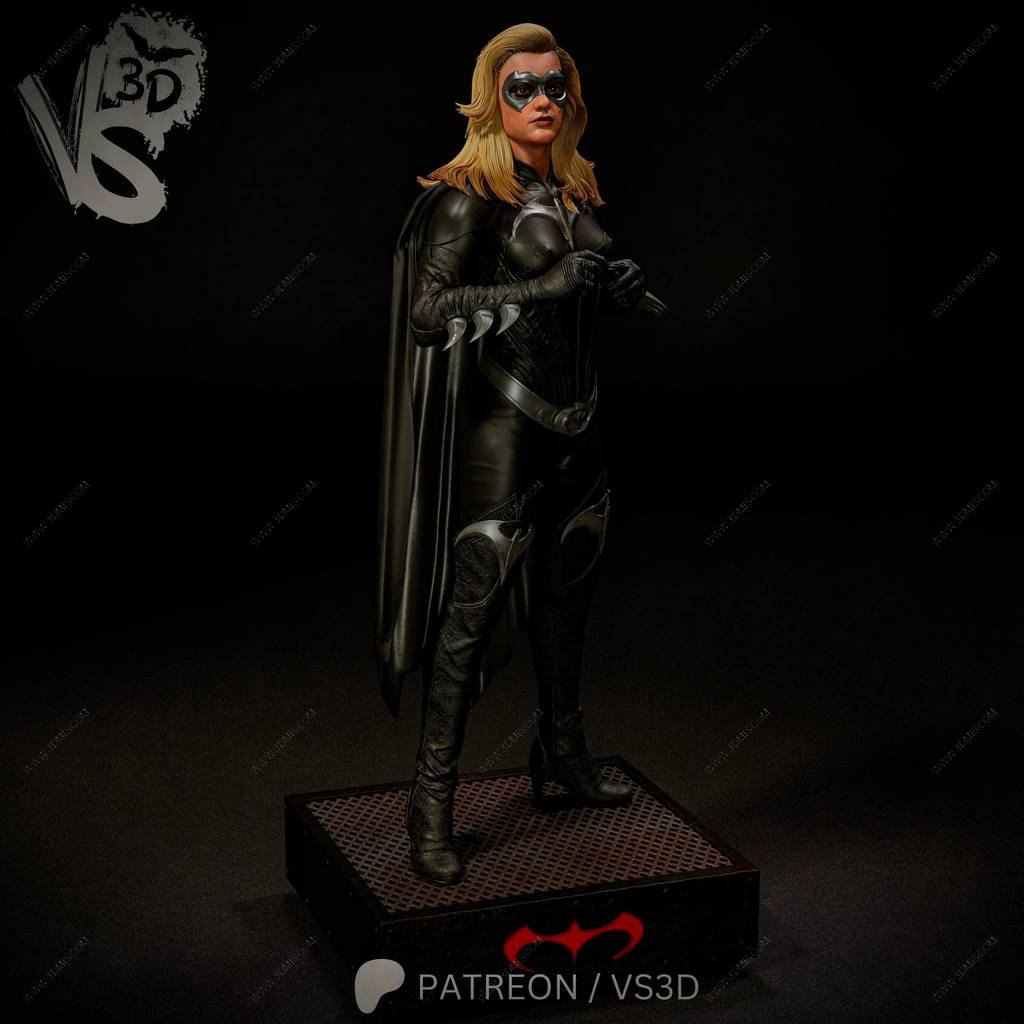 P站图纸印象馆 VS3D DC漫画 蝙蝠侠与罗宾 蝙蝠少女 VS3D DC漫画 蝙蝠侠与罗宾 蝙蝠少女