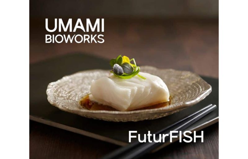 P站图纸印象馆 2026年4月4日3D打印快讯:食品打印、可可印刷等 Image 1