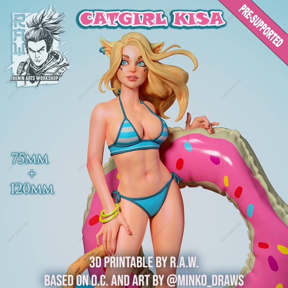 P站图纸印象馆 Ronin Arts 猫女Kisa Ronin Arts 猫女Kisa